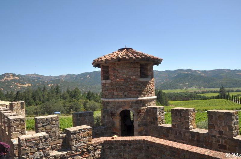 Castello Di Amorosa: каменная башня с черепичной крышей над виноградниками